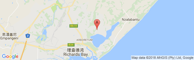 Richards Bay Airport图片