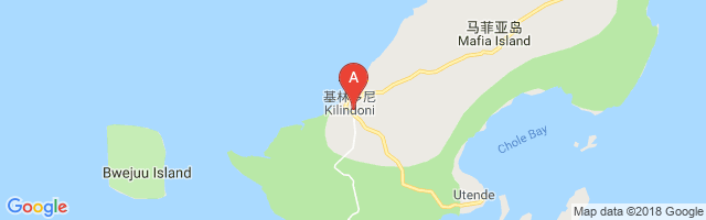 Mafia Island Airport图片