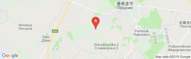 Pushkin Airport图片