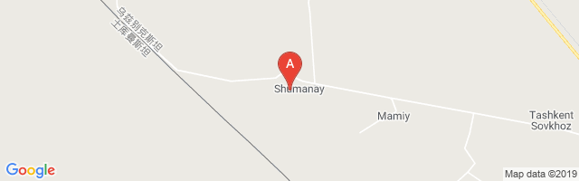 Shamenay Airport图片