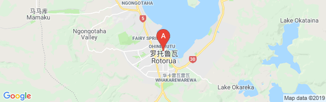 Rotorua Hospital Airport图片