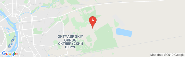 Omsk Severny Airport图片