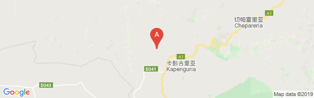Kapenguria (Kisiaunet) Airport图片