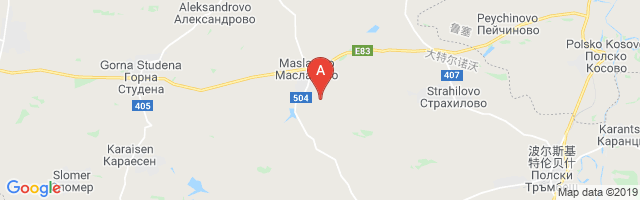 Maslarevo Airport图片