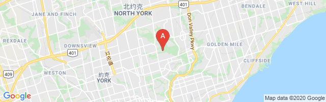 Toronto (Sunnybrook Medical Centre) Airport图片