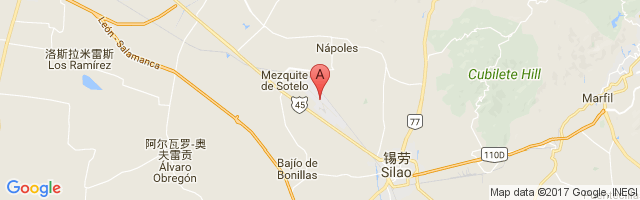 Del Bajío International Airport图片