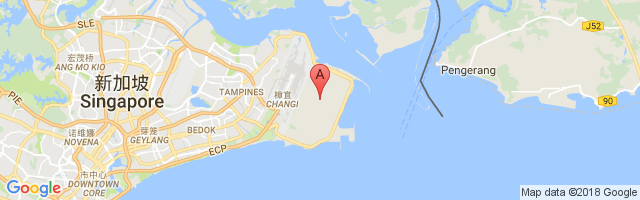 Changi Air Base Airport图片
