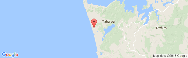 Taharoa Iron Sands Airport图片