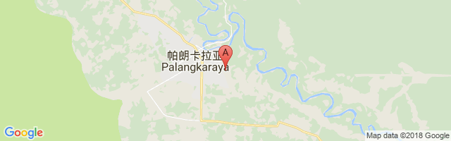 Tjilik Riwut Airport图片