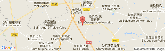 Montaigu St Georges Airport图片