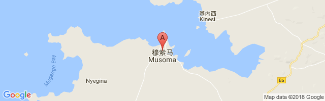 Musoma Airport图片