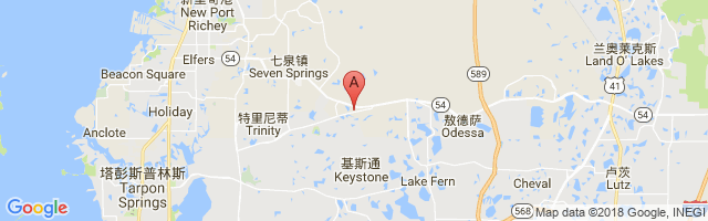 Tampa Bay Executive Airport图片