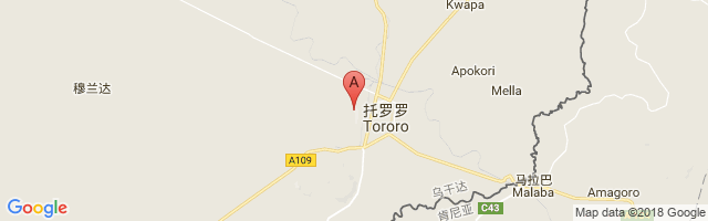 Tororo Airport图片
