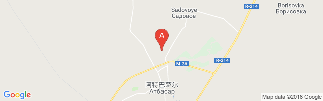 Atbasar Airport图片