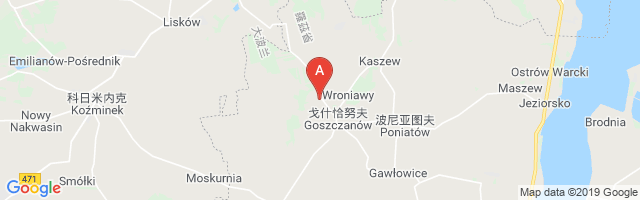 Goszczanów Airport图片