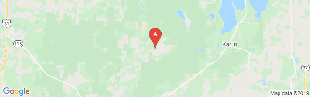 Betsie River Airstrip Airport图片