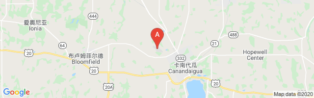 Canandaigua Airport图片