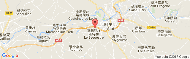 Albi-Le Séquestre Airport图片