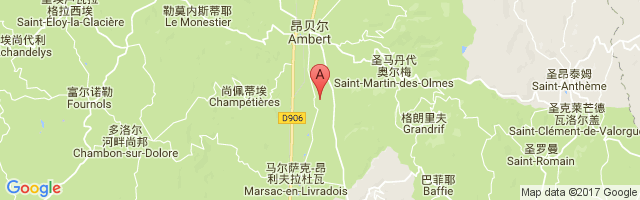 Ambert Le Poyet Airport图片