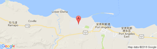 William R. Fairchild机场 William R Fairchild International Airport图片