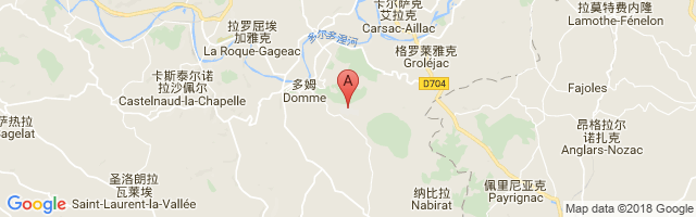 Sarlat Domme Airport图片