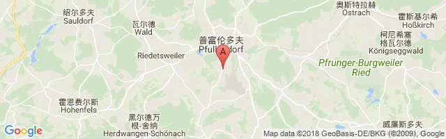 Pfullendorf Airport图片