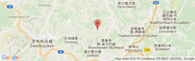 Pirmasens Airport图片