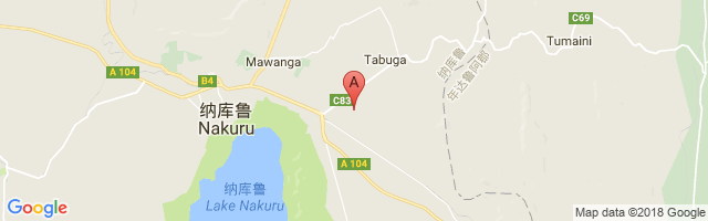 Nakuru Airport图片
