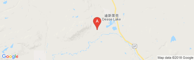 Dease Lake Airport图片