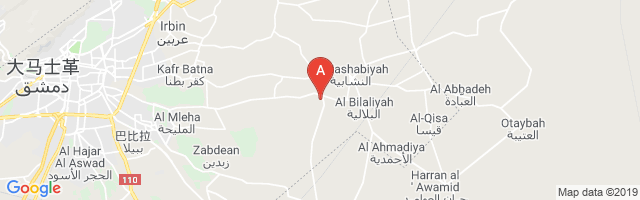 Marj al-Sultan (North) Airport图片