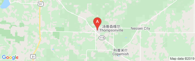 Thompsonville Airport图片