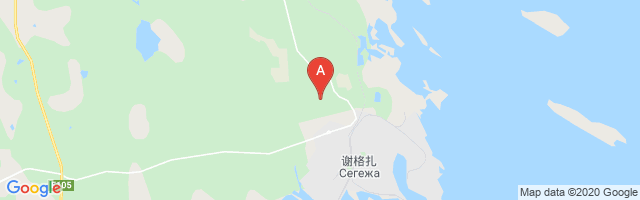 Segezha Airport图片