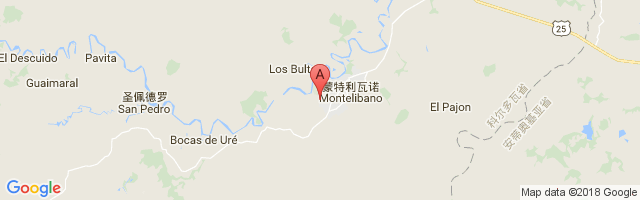 Montelibano Airport图片