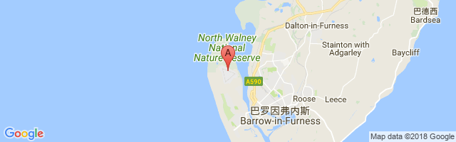 Barrow Walney Island Airport图片