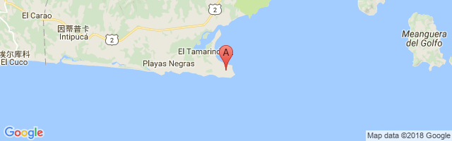 El Tamarindo Airport图片