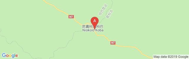 Niokolo Koba Airport图片