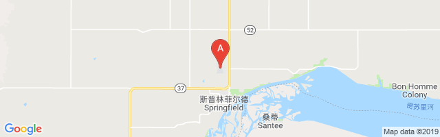 Springfield Municipal Airport图片