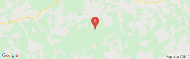 Fazenda Mapisa Airport图片