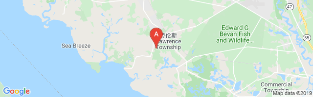 Dave's Aerodrome Airport图片