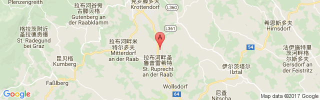 Unterfladnitz Airport图片