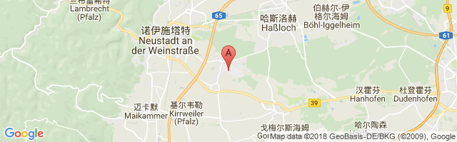 Lachen-Speyerdorf Airport图片