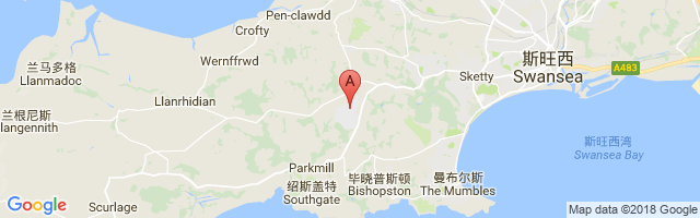 Swansea Airport图片