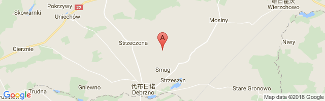 Debrzno (Słupia) Highway Strip Airport图片