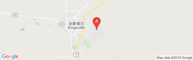 Kingsville Naval Air Station Airport图片