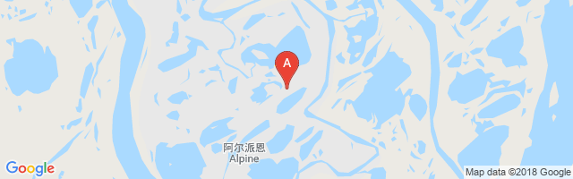 Alpine Airstrip Airport图片