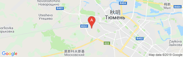 Plekhanovo Airport图片