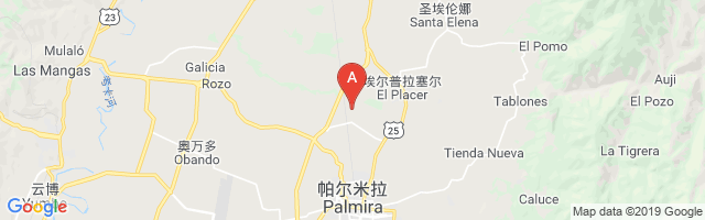 Ingenio Manuelita Airport图片