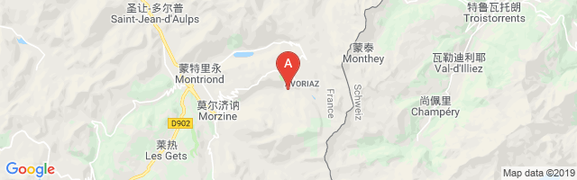 Morzine Avoriaz Airport图片