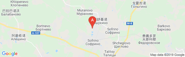 Sofrino Helipad Airport图片