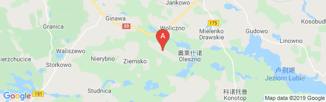 Ziemsko Airport图片